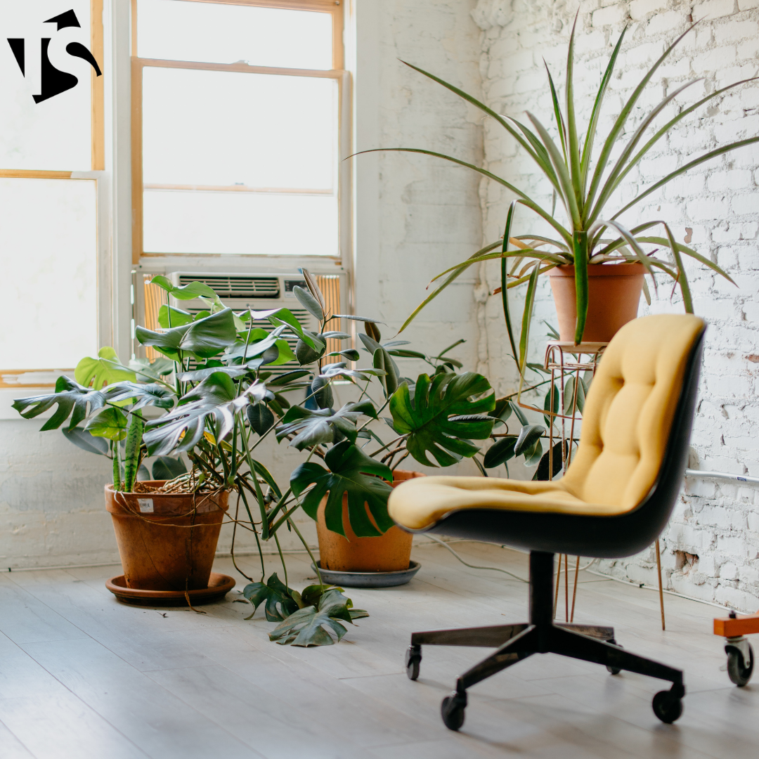 Minimal-Decor-And-Plants-Interior